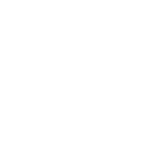 Governance